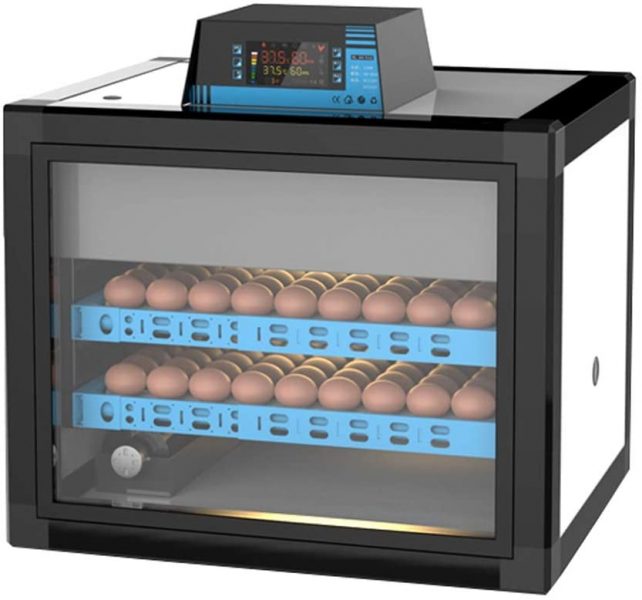 Couveuses à œuf